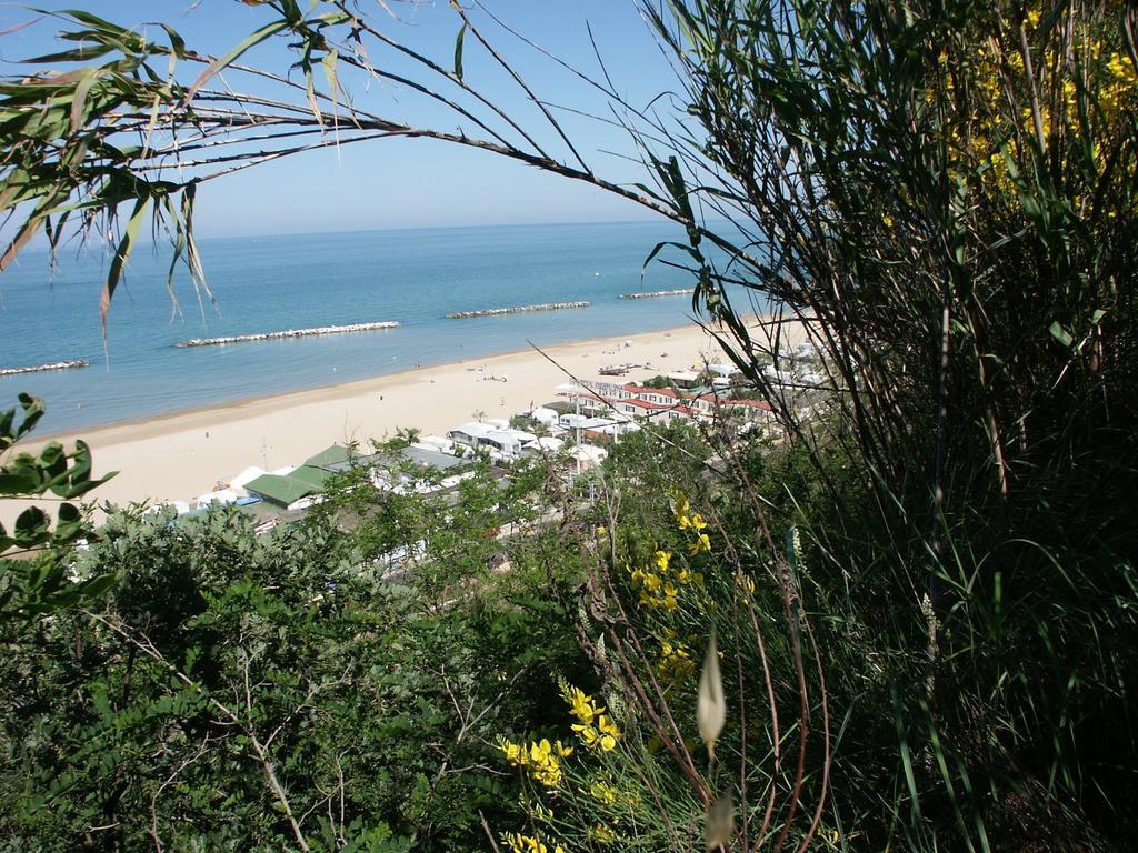 Camping Norina Πέζαρο Εξωτερικό φωτογραφία